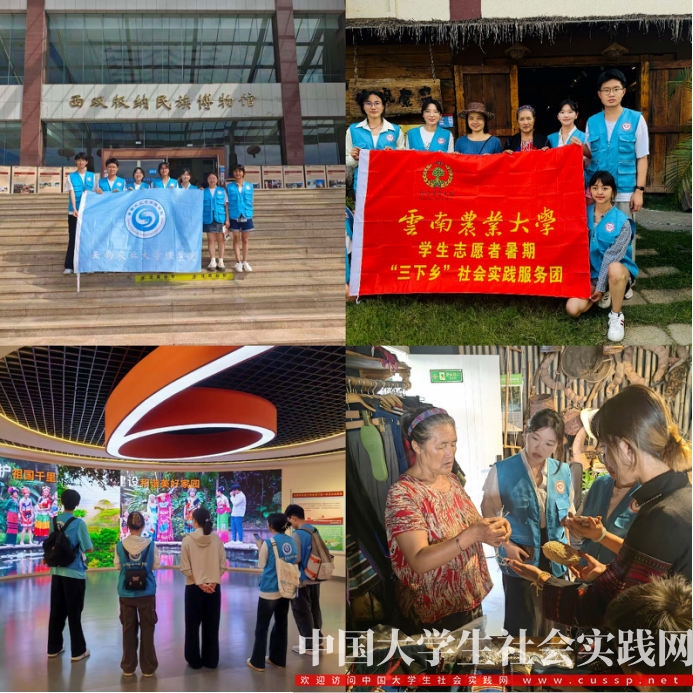 当非遗遇到青春！云农学子西双版纳行：五天解锁文化传承姿势_中国大学生社会实践网【官网】